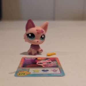 Hasbro Littlest Pet Shop Pink and Purple Cat Card